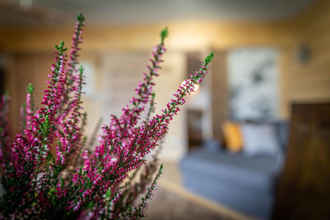 Apartament Good Morning Giewont & Jacuzzi Kościelisko Zewnętrze zdjęcie