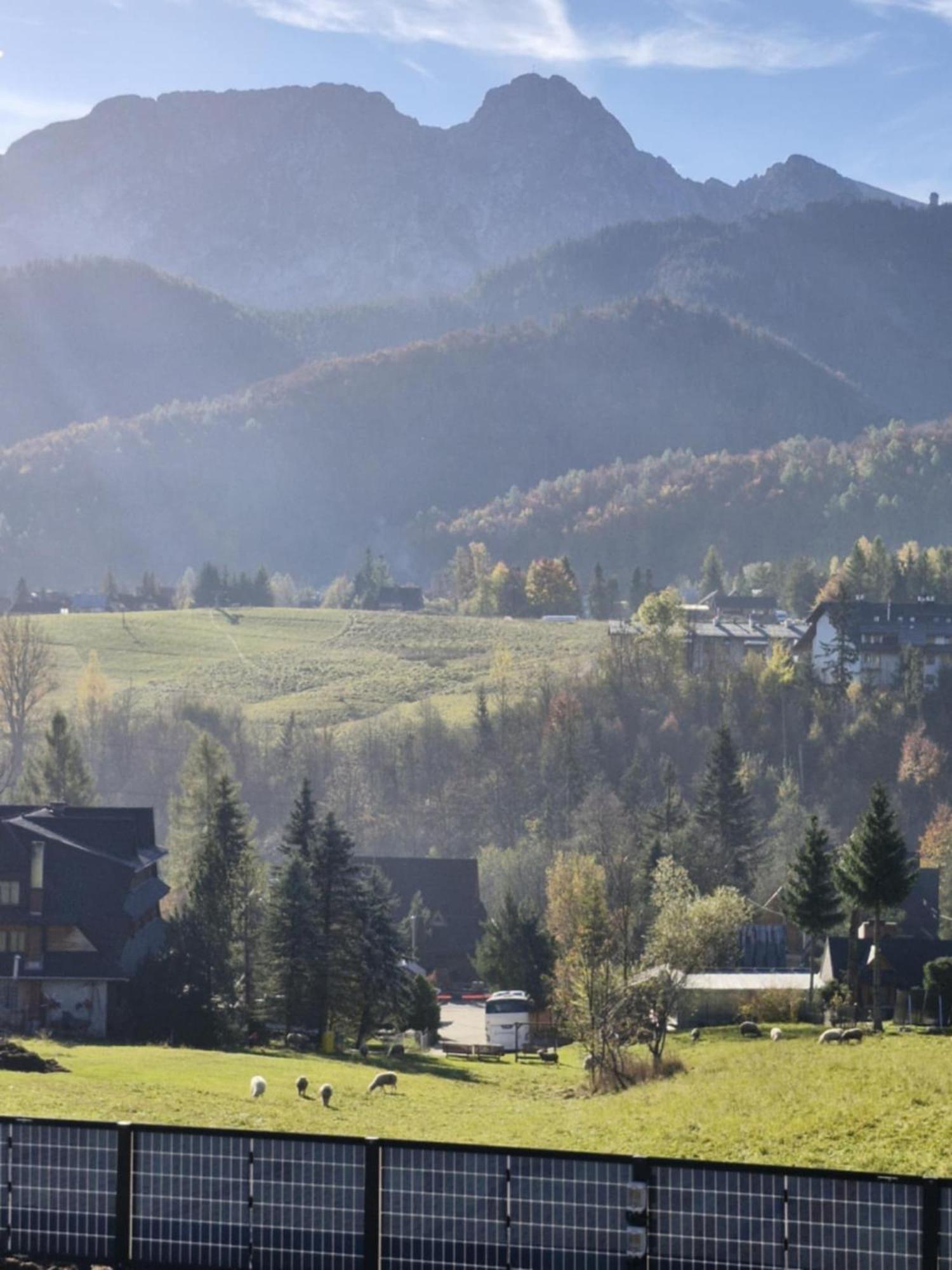 Apartament Good Morning Giewont & Jacuzzi Kościelisko Zewnętrze zdjęcie