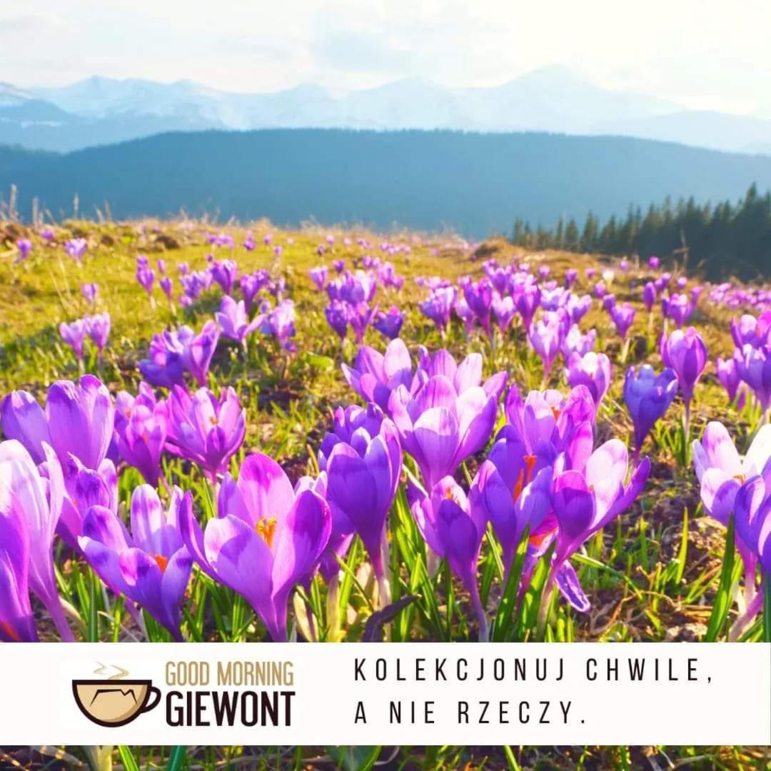 Apartament Good Morning Giewont & Jacuzzi Kościelisko Zewnętrze zdjęcie